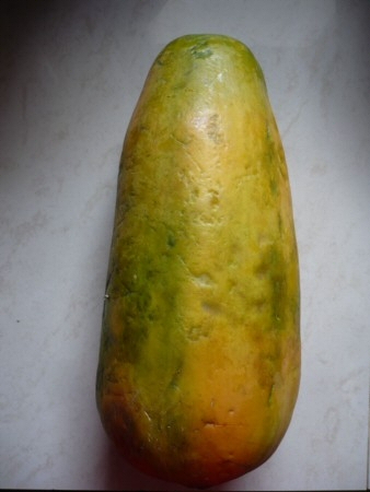 [Image: Papaya%20ganz.jpg]
